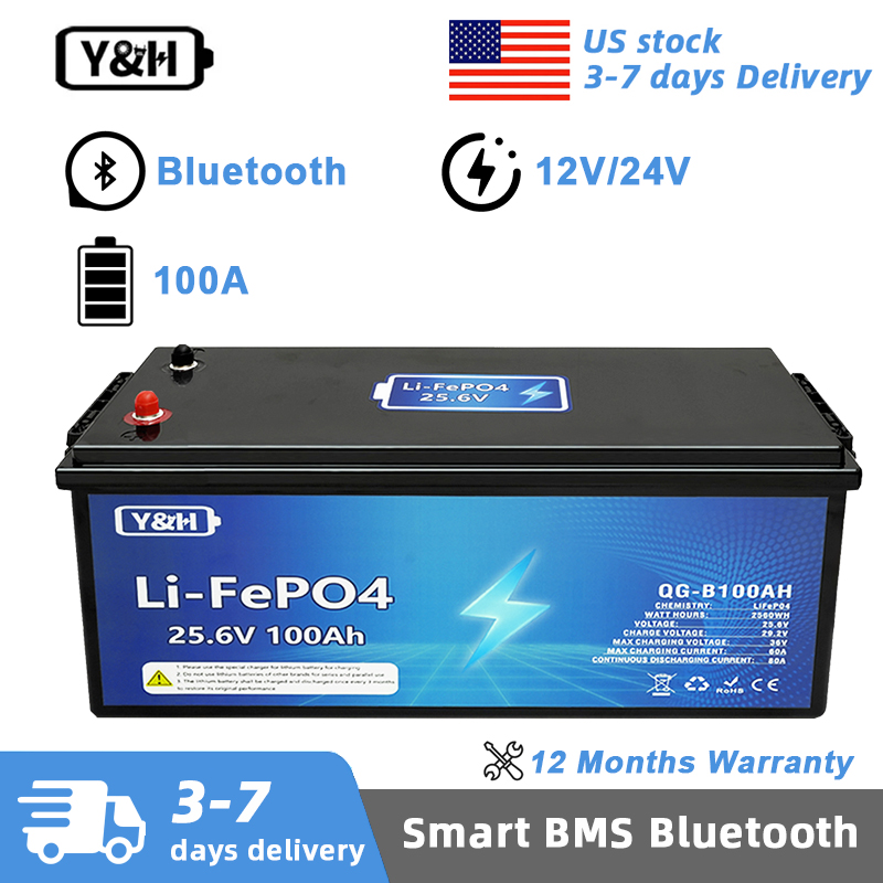 Renewable Energy Source - [Entrega Local] Bateria LiFePO4 Y&H 12V